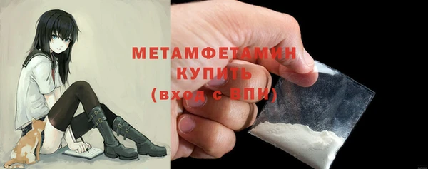 прущие грибы Кропоткин