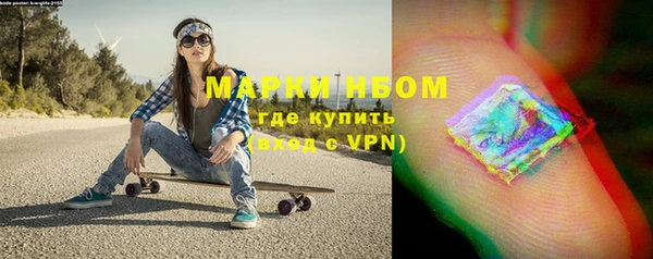 стафф Коряжма