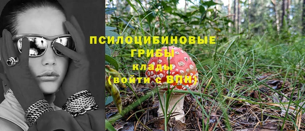 дмт Козловка