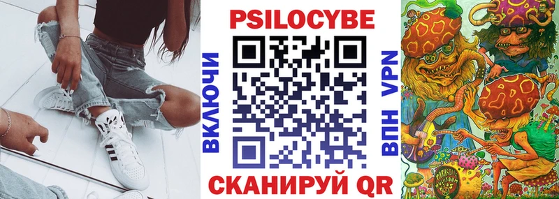 Псилоцибиновые грибы Psilocybe  Краснокамск 